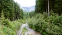 Verso Malga Fratazza e Cabinovia Tognola 8